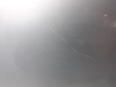 1004861121006_20190529174108.jpg