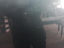 1004860301006_20190528170528.jpg