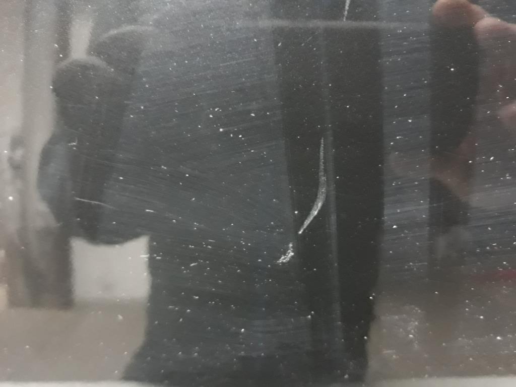 1004857421006_20190517125949.jpg