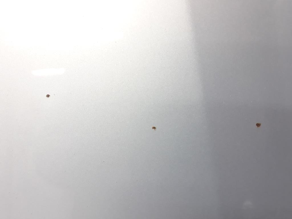 1004853751006_20190506171957.jpg