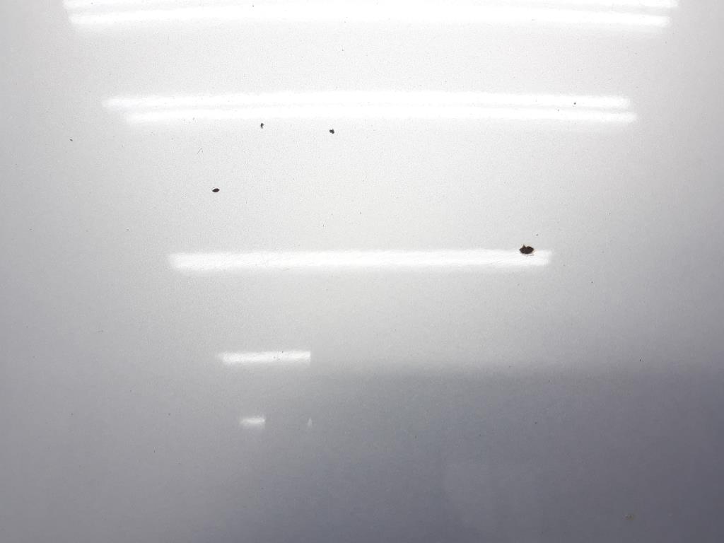 1004853751006_20190506171946.jpg