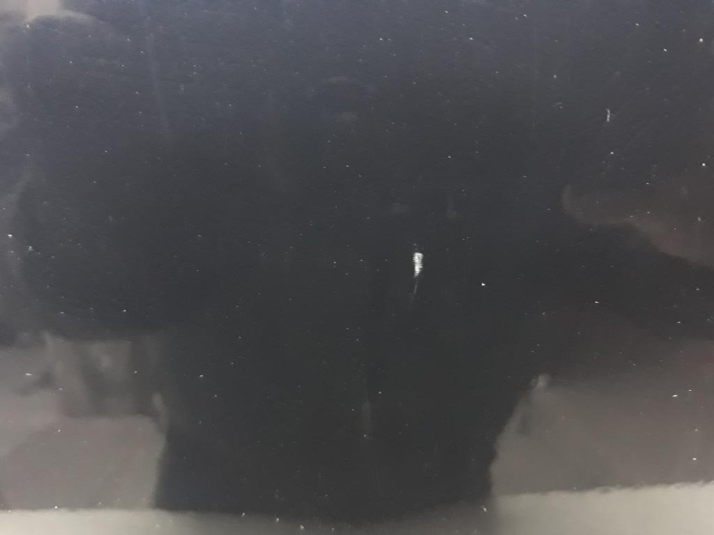 1004829661006_20190402140925.jpg