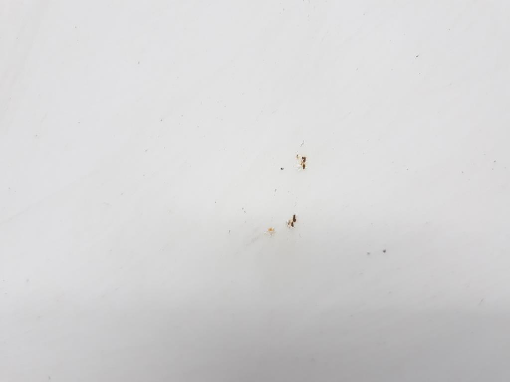 1004831911006_20190328154416.jpg