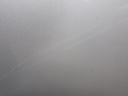 1004817551006_20190308165500.jpg