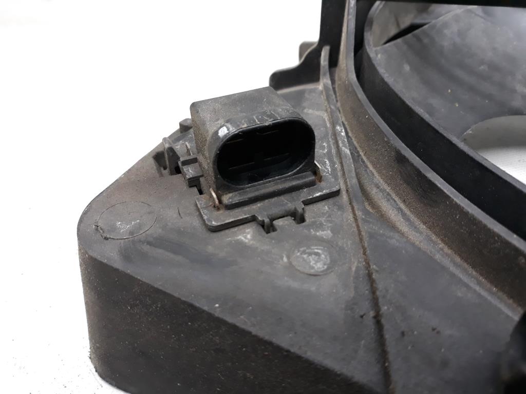 1004801331006_20190205114848.jpg