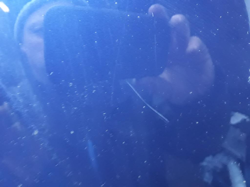 1004776001006_20190107171608.jpg