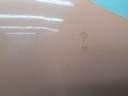 1005181501006_20200911101404.jpg