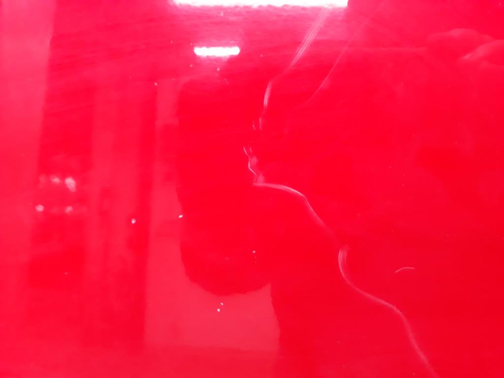 1005172651006_20200908174642.jpg