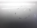 1005129901006_20200624112018.jpg