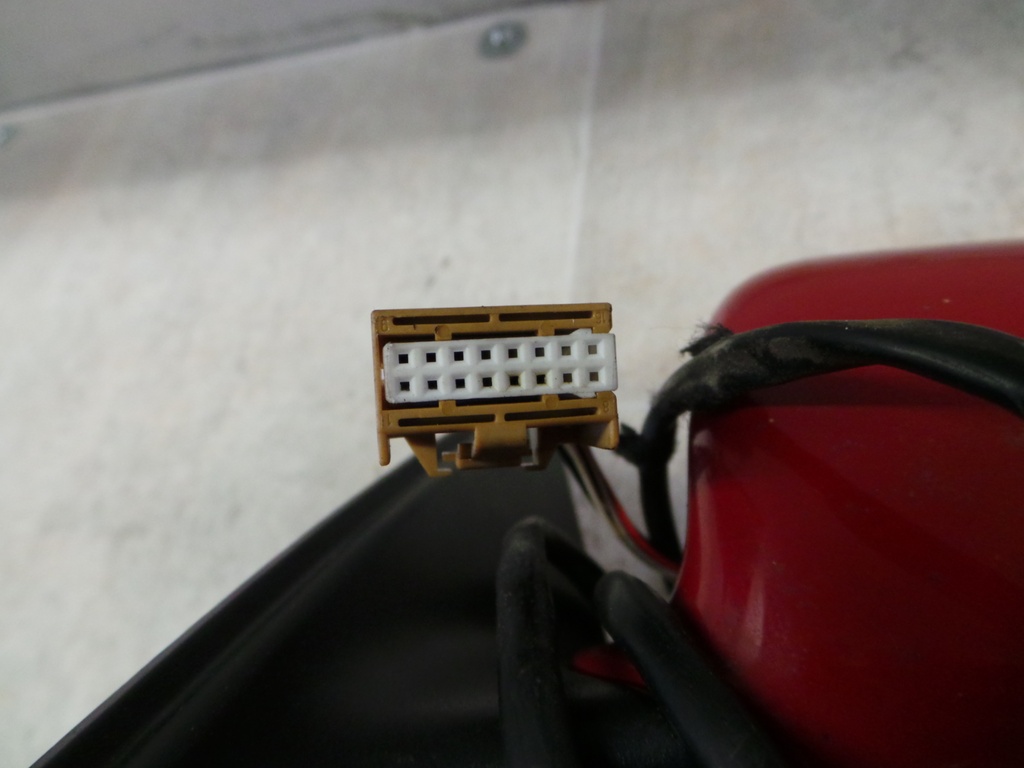 20201002_110421.JPG
