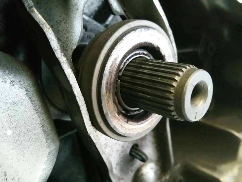 1000283112068_20181206122354.jpg