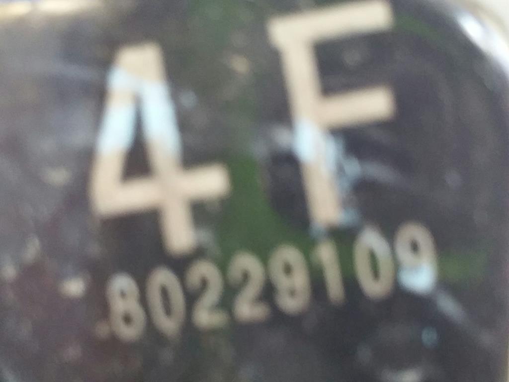 1000304352068_20190306110518.jpg