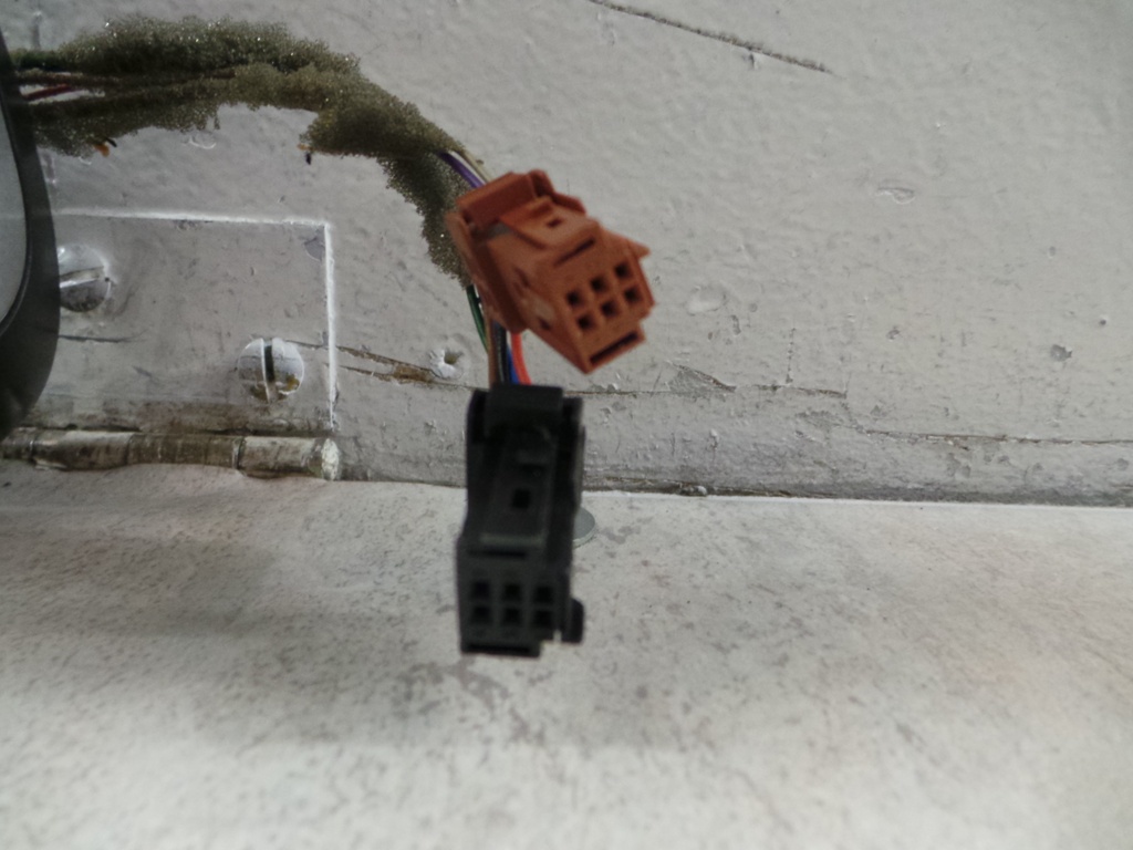 20201007_081553.JPG