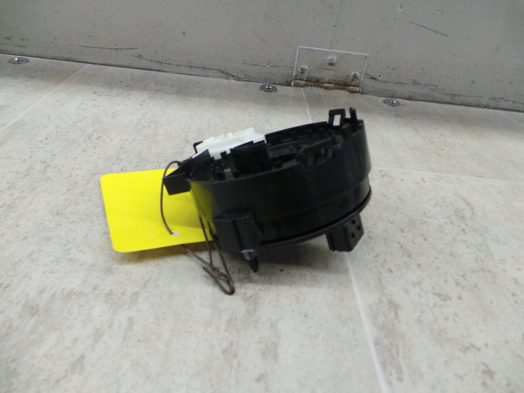 20201008_084206.JPG