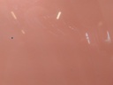 1603889474866754838474763901465.jpg