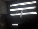 20201030_140712.jpg