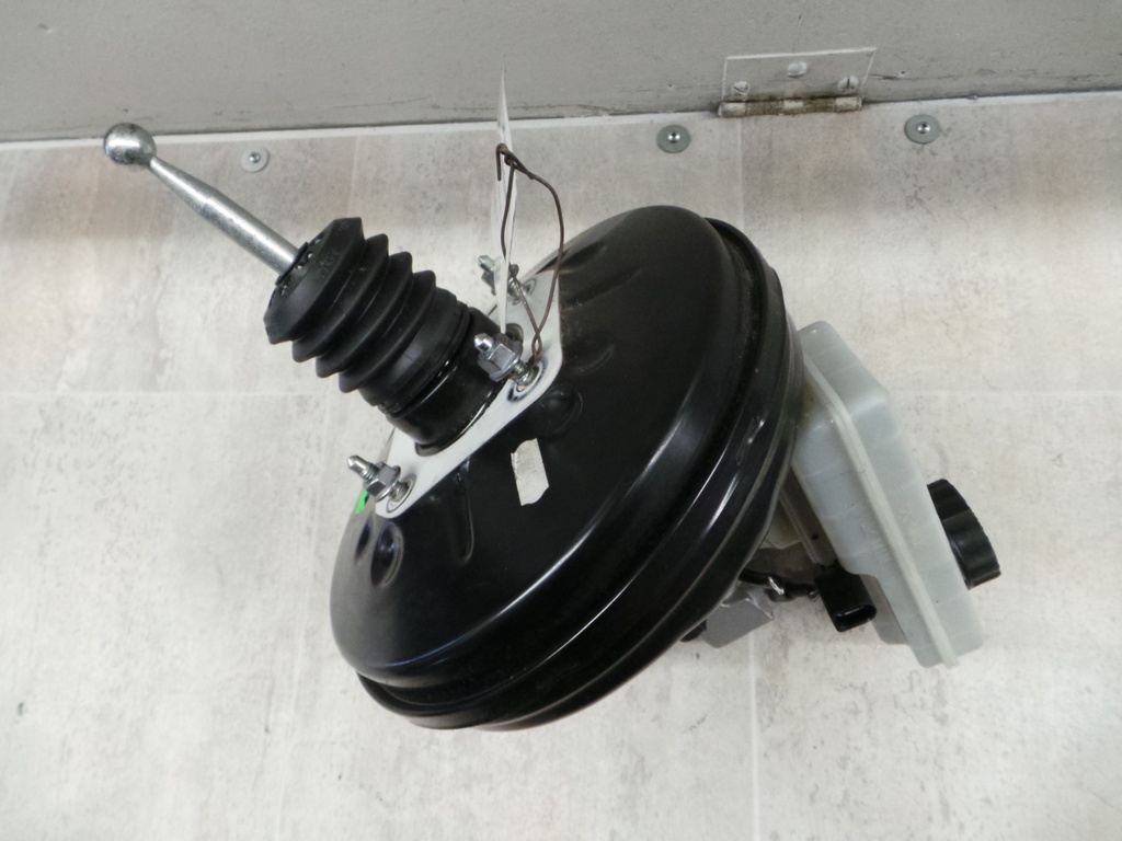20201103_145137.JPG