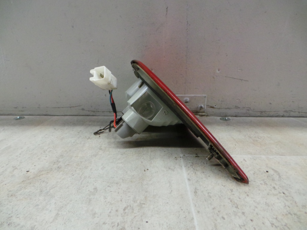 20201104_113008.JPG