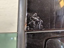 IMG_20201102_162330.jpg