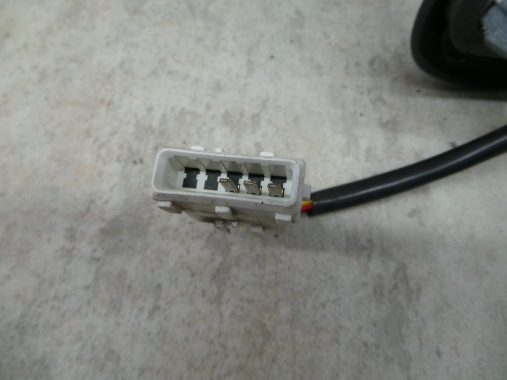 20201105_142837.JPG