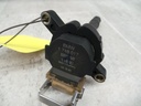 20201106_084017.JPG