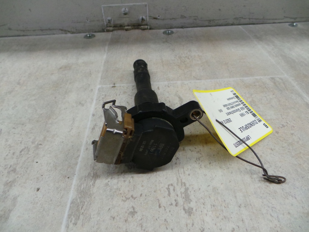20201106_084032.JPG