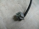 20201106_160804.JPG