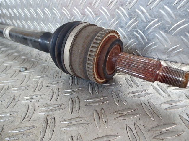 P1050517.JPG