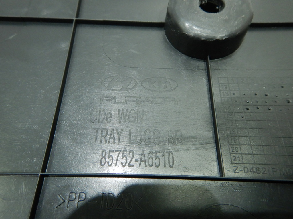 DSCN2950.JPG