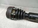 20201221_104128.JPG