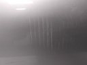 16103775497148732506542692789172.jpg