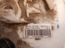 DSCN0802.JPG