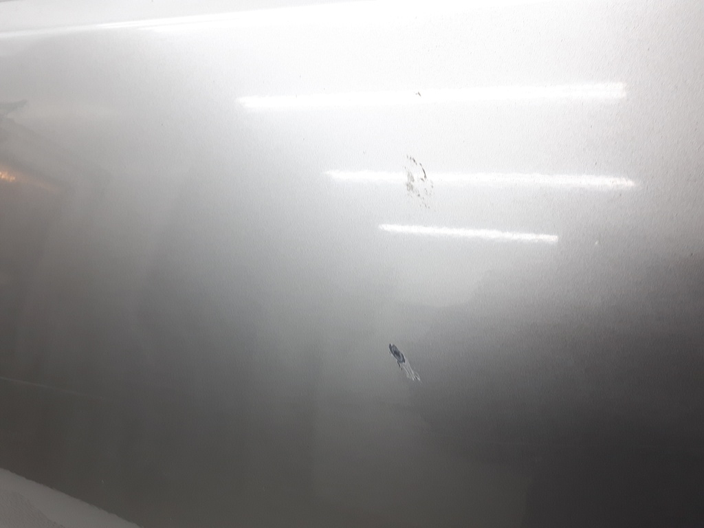 20210128_171736.jpg