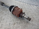 DSCN1049.JPG
