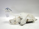 DSCN6633.JPG