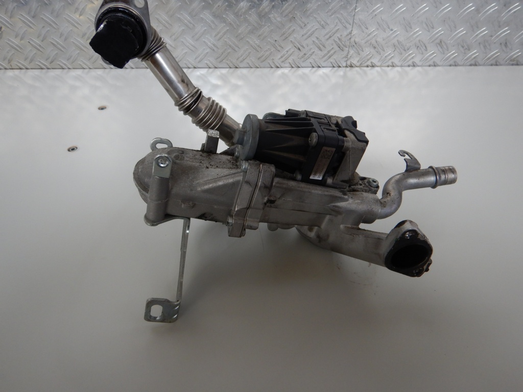 DSCN1573.JPG