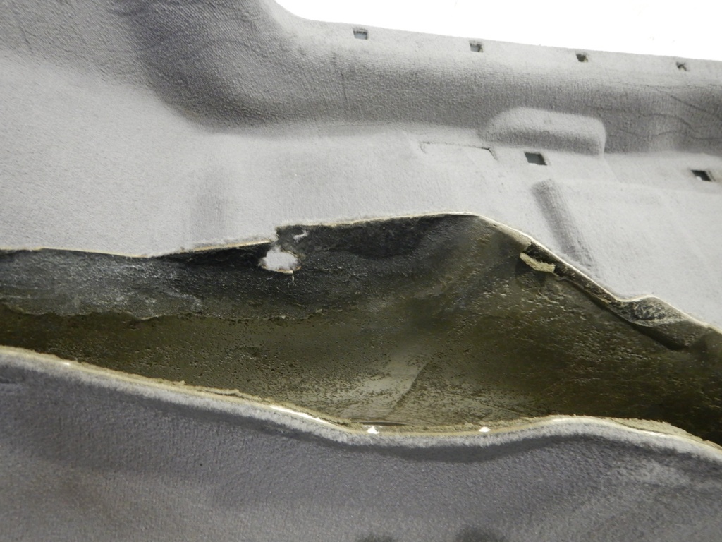 DSCN8717.JPG