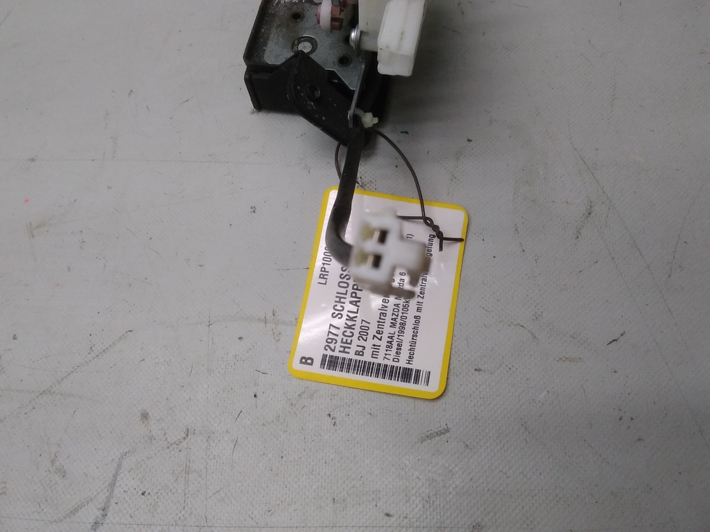 16180444932123473452245707319245.jpg