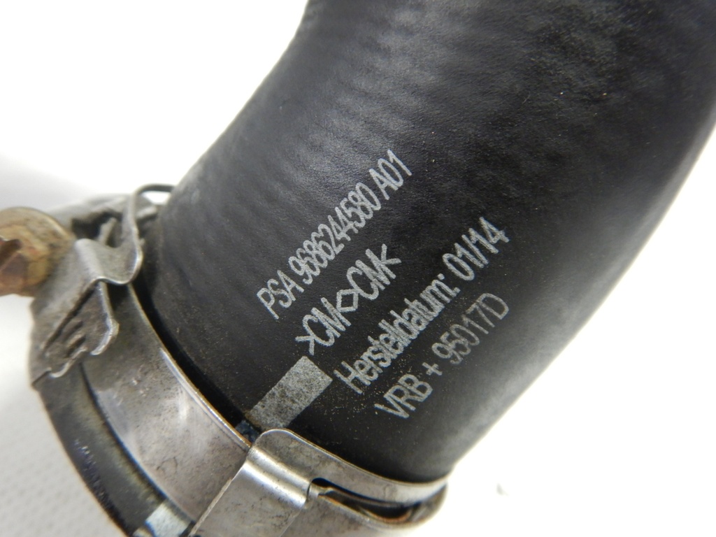 DSCN0511.JPG