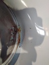 IMG_20210525_093919.jpg