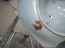 IMG_20210525_093928.jpg