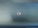 DSCN4310.JPG