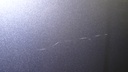 DSC02287.JPG