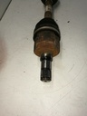 IMG_20210630_104251.jpg