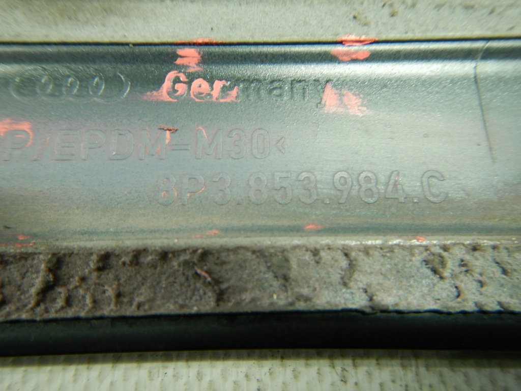 DSCN4771.JPG