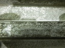 DSCN5508.JPG