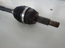 DSCN3542.JPG