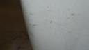 DSC06246.JPG