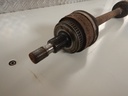 DSCN3874.JPG
