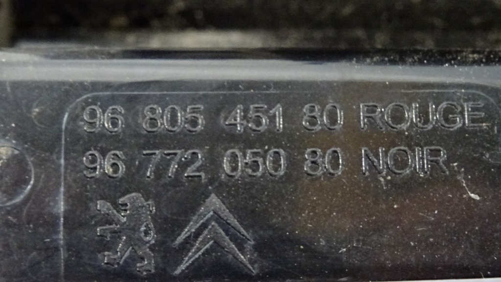 DSC07981.JPG